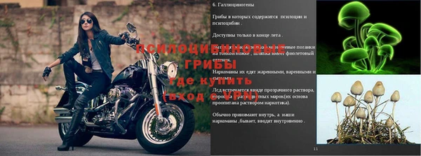 синтетический гашиш Белокуриха