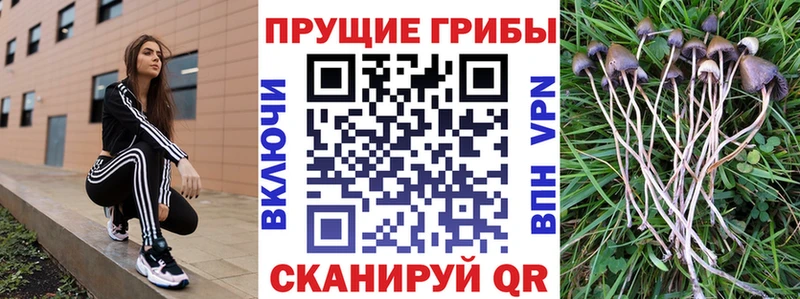 Псилоцибиновые грибы прущие грибы где можно купить наркотик Фёдоровский